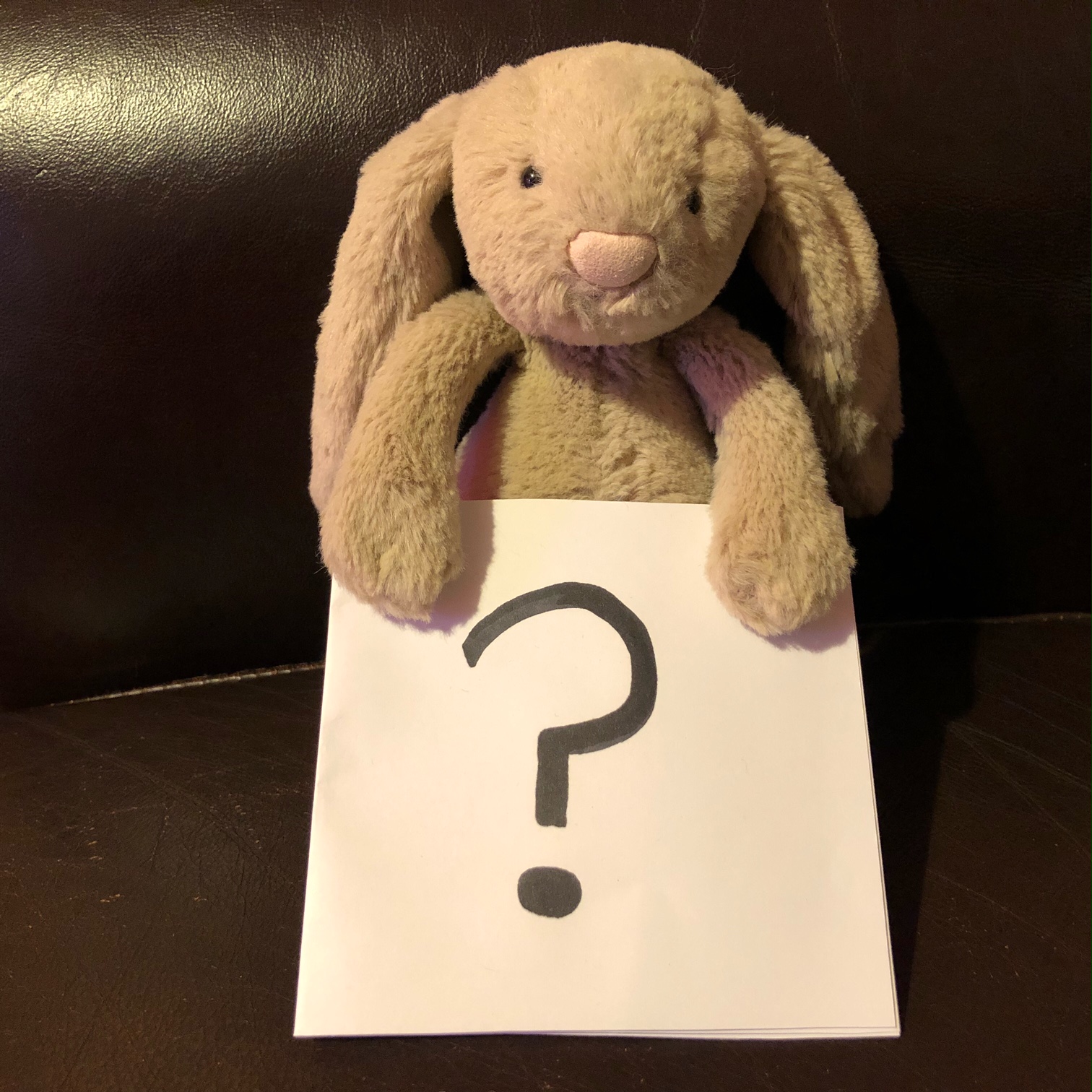 Jelly Collector What is my Jellycat worth? Jelly Collector Jellycat