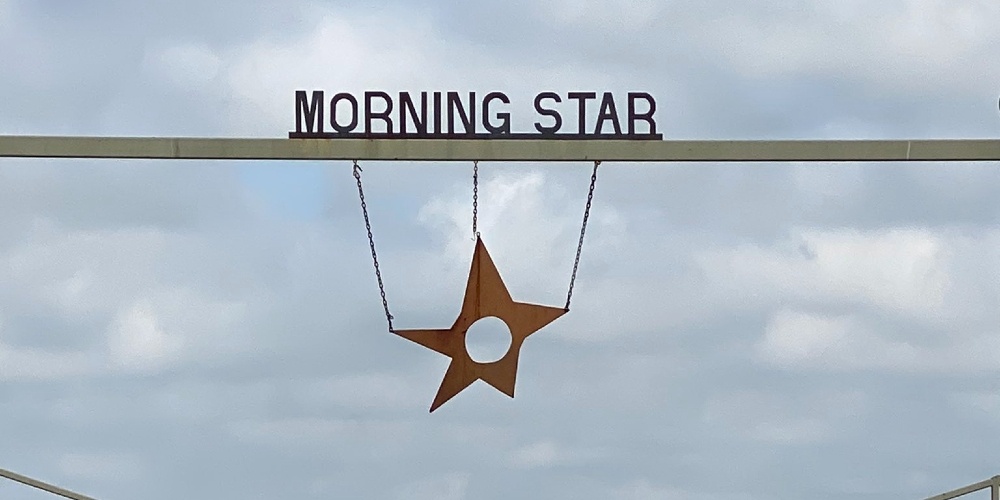 Jellyfish.NEWS US News Former General’s ‘Morning Star