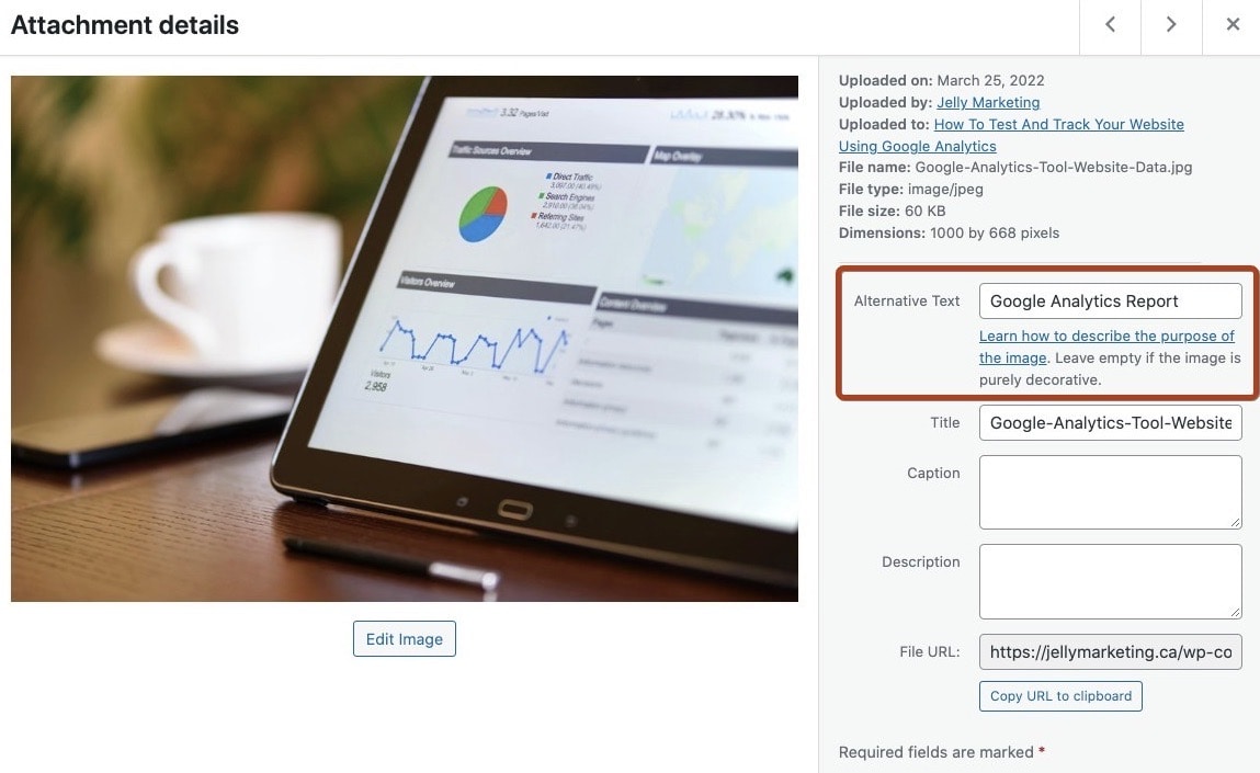 How To Check site SEO Performance? OnPage & OffPage