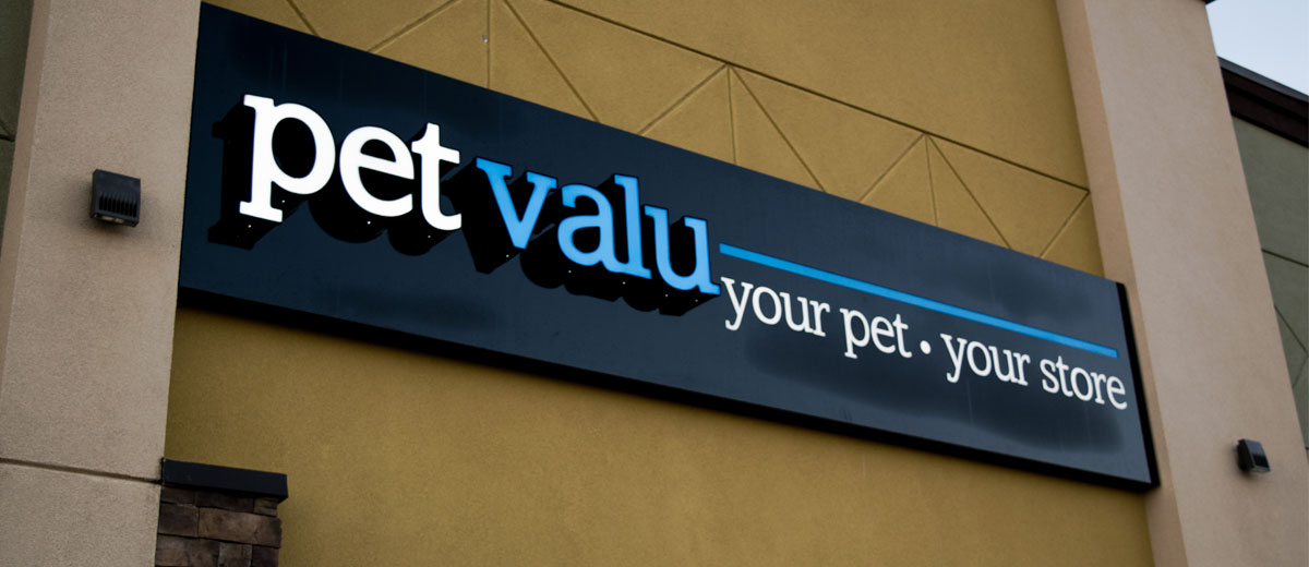 Window Graphics Pet Valu Install JEM Creative Solutions