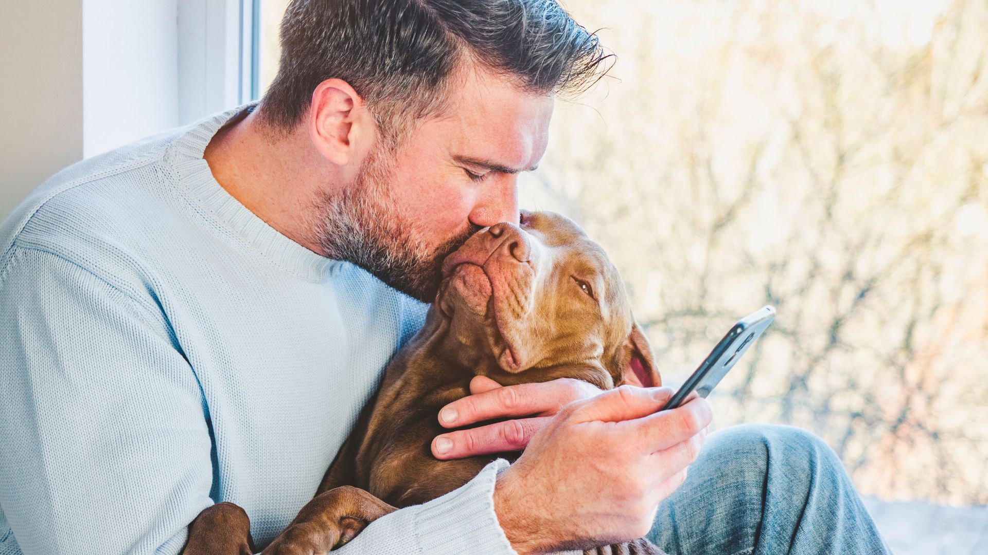 Tips for Strengthening the Bond with Your Dog Jemully Media