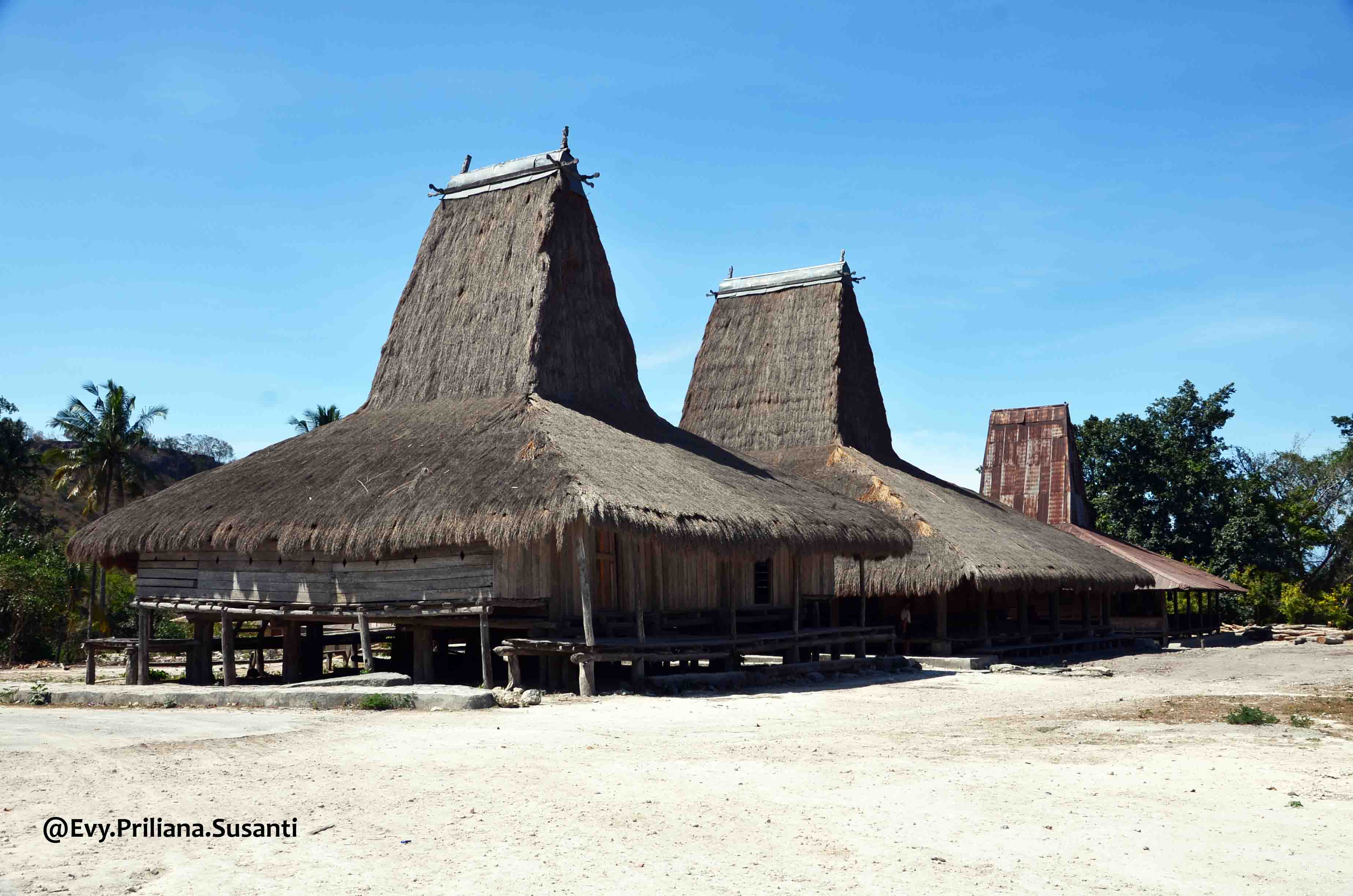Kampung Praiyawang, Desa Adat di Sumba Timur Jendela Kecil Dunia