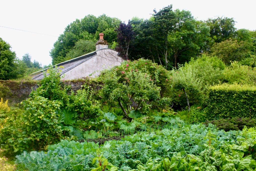 Salthill Garden, Salthill House, Mountcharles, County Donegal F94 H524 Irish Historic Houses