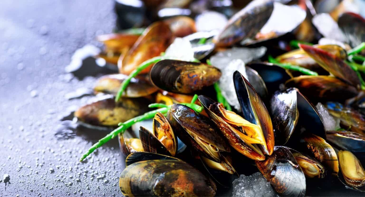 Eating Shellfish 'R' In The Month Jenkins & Son Deal