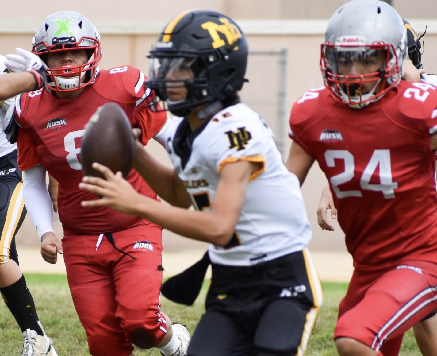 Jenkins Elite Player Profile CJ McCurdy Alba Quarterback