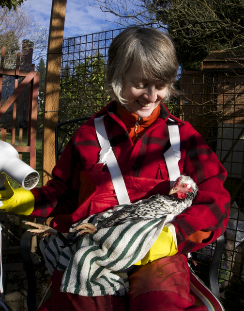Neem oil to control chicken lice a.k.a. I am such a geek