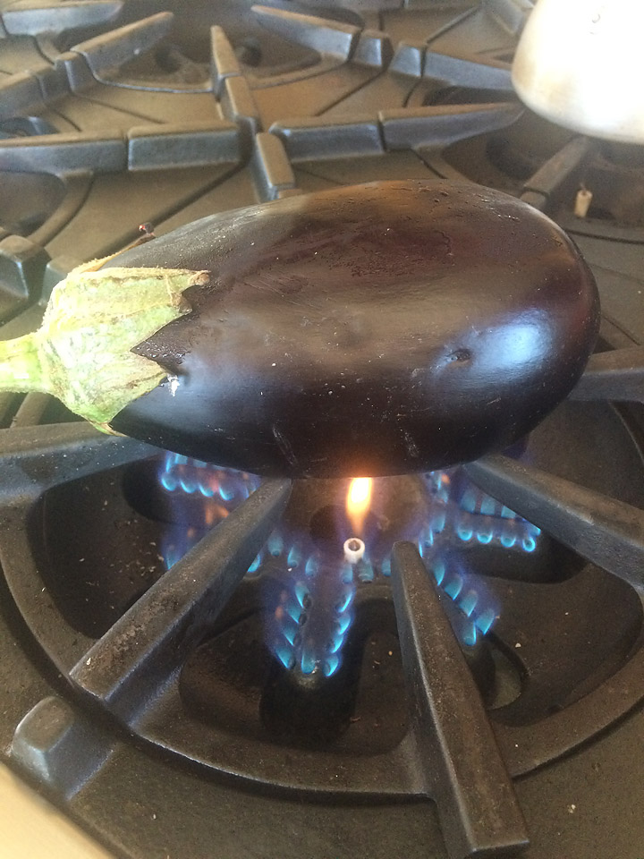 How Roasted Eggplant for Dinner Turned into Brownies JenDog