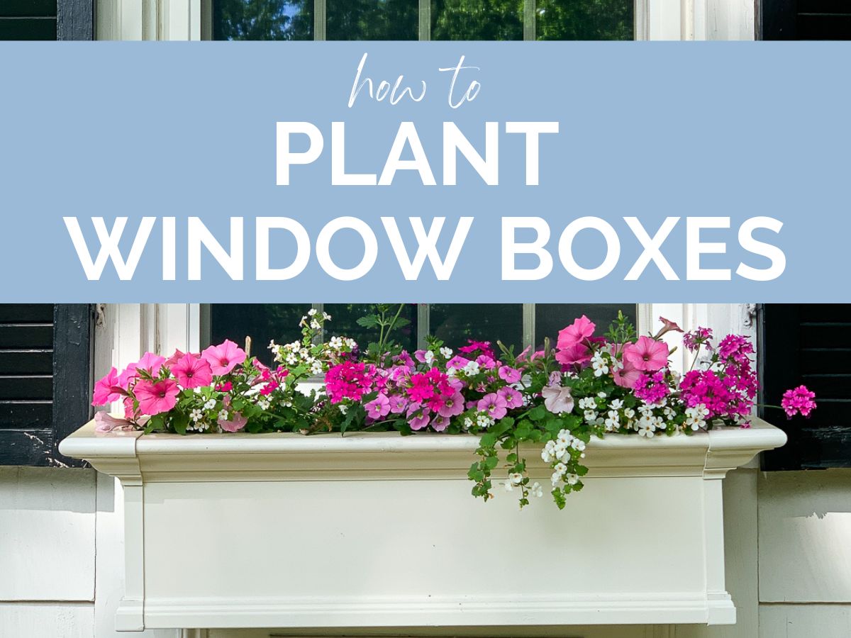 How To Plant Window Boxes Like a Pro Jenna Kate at Home