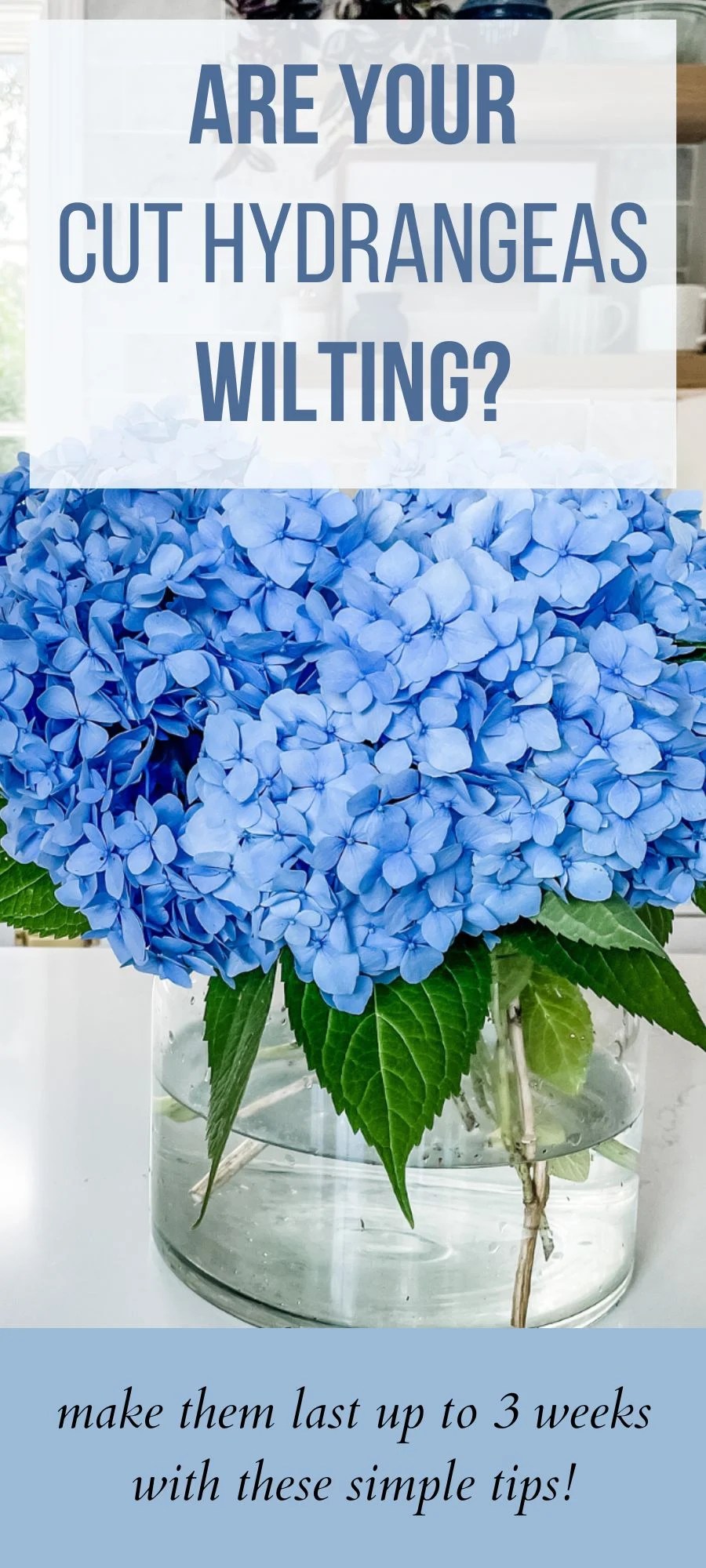 How To Stop Hydrangeas From Wilting Jenna Kate at Home