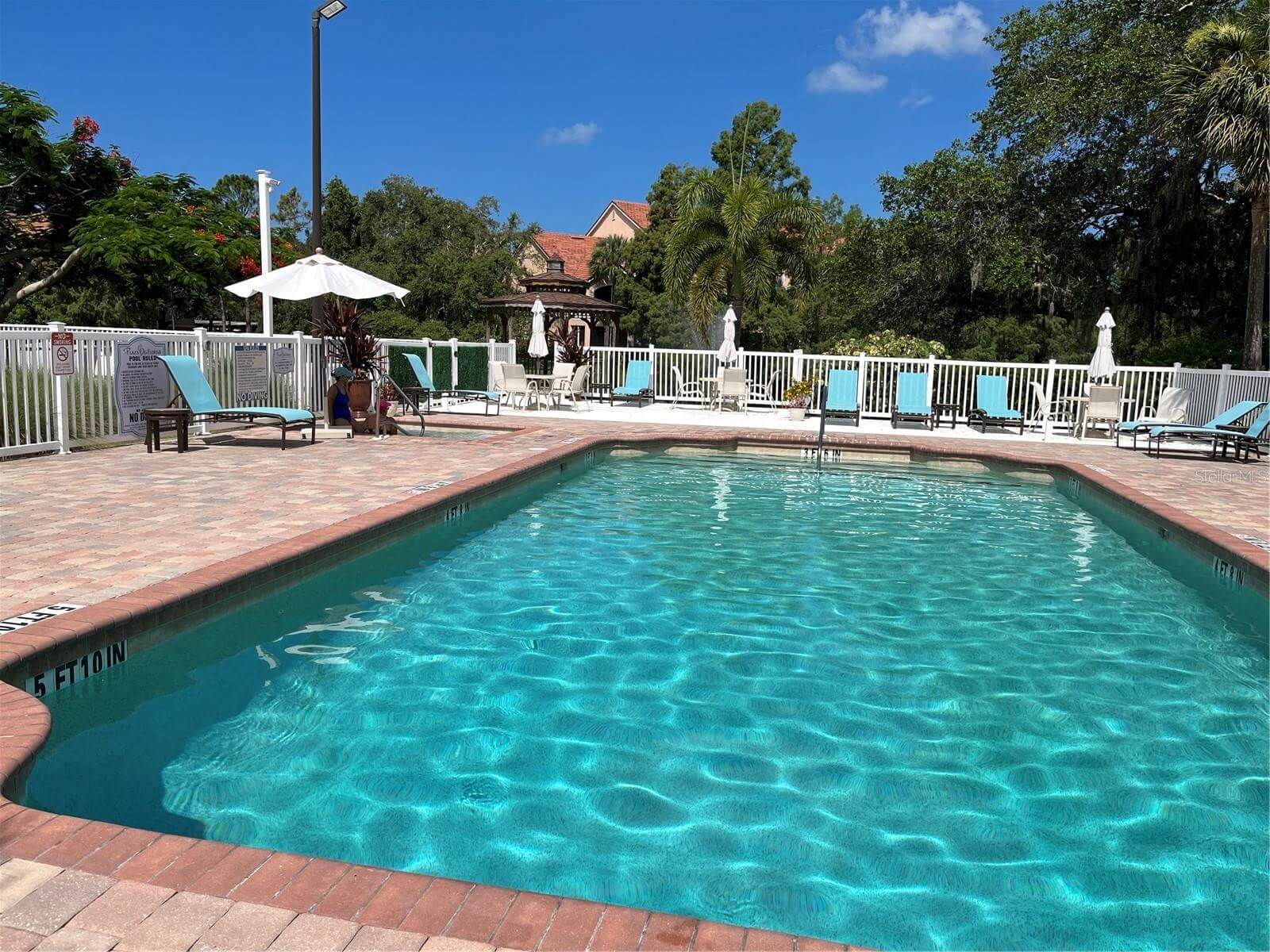 Beach Rentals in Sarasota, Homes for Rent Properties