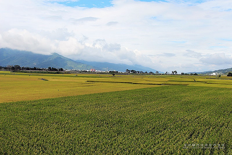 [不能錯過生活好康] 密切注意!補助國人住宿遊園精采行實施計畫從104年11月20日起至105年2月29日止，錯過就沒了…