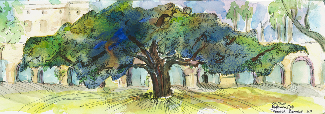caltech