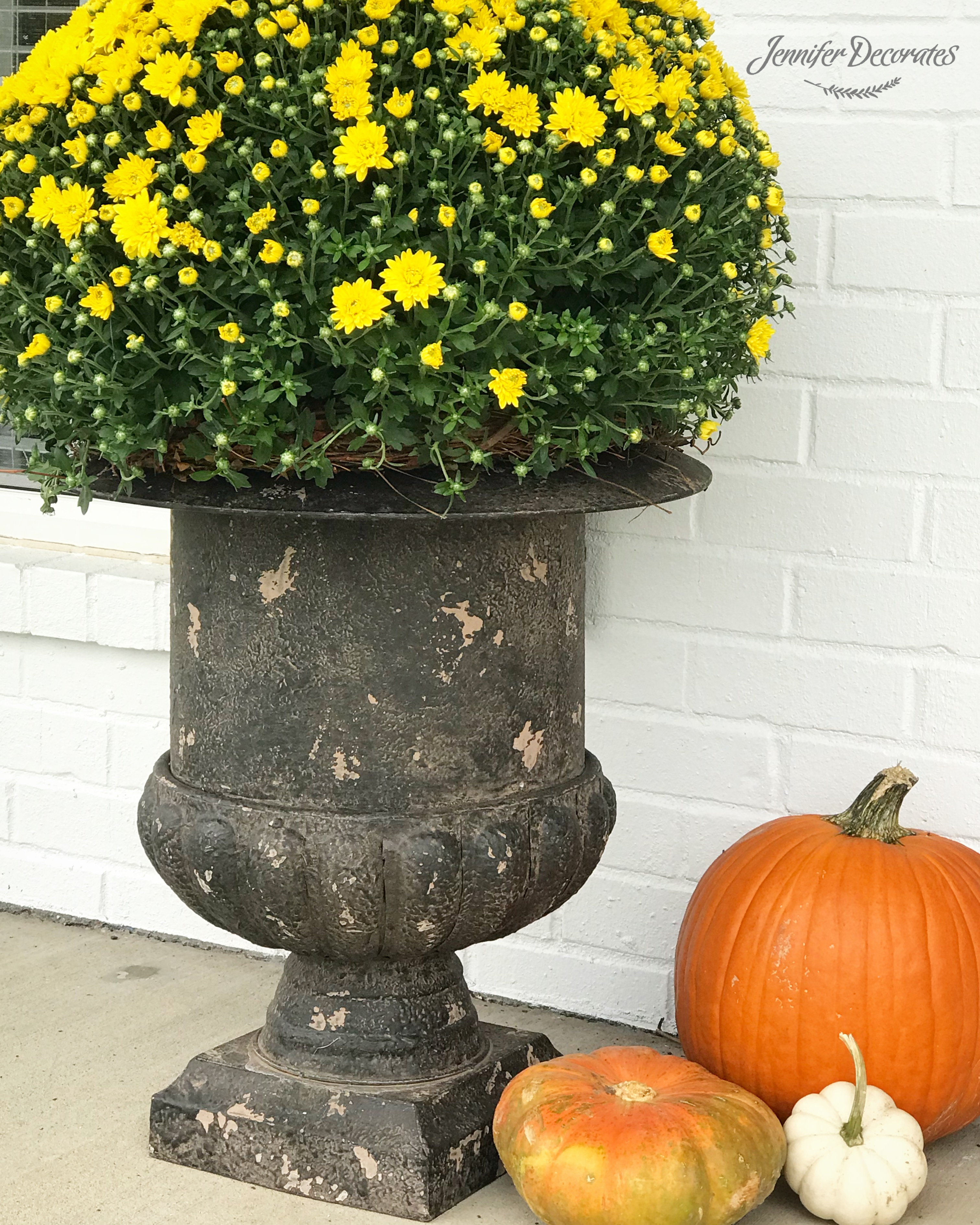 Easy Fall Decorating Ideas You will Love