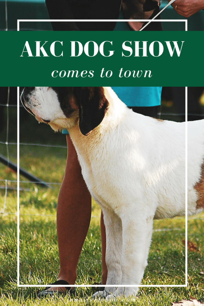 The Philadelphia Dog Show at the Oaks Convention Center Main Line