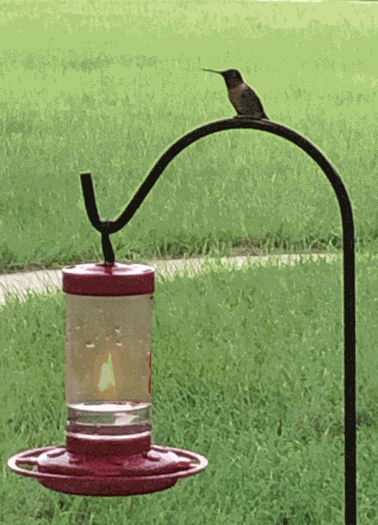 Unit 1 Application Review Jennifer L Parker