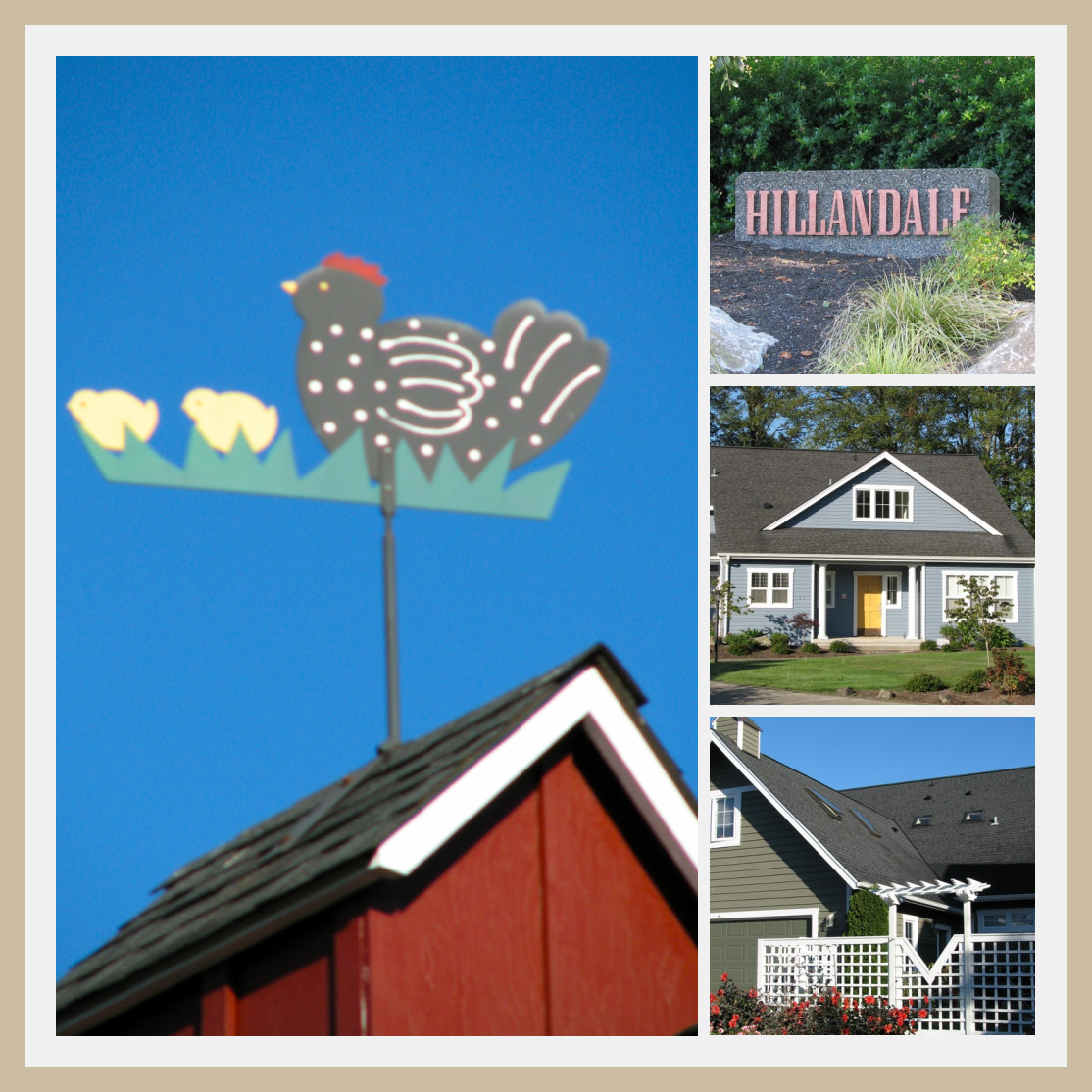 The Hillandale Neighborhood on Bainbridge Island Jen Pells