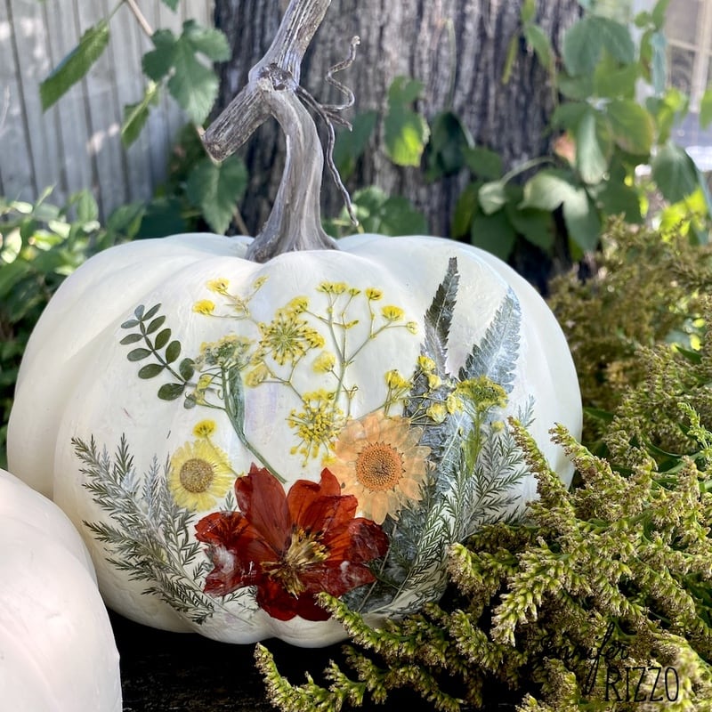 Decoupaged Dried Flower Pumpkins Jennifer Rizzo