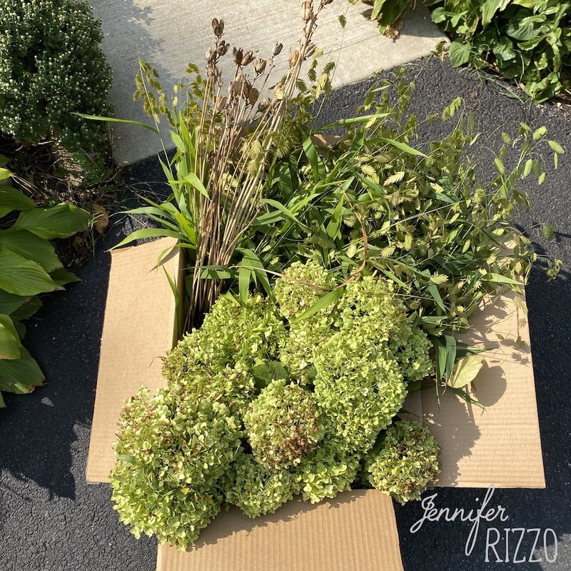 Spray Paint Dried Flowers Jennifer Rizzo