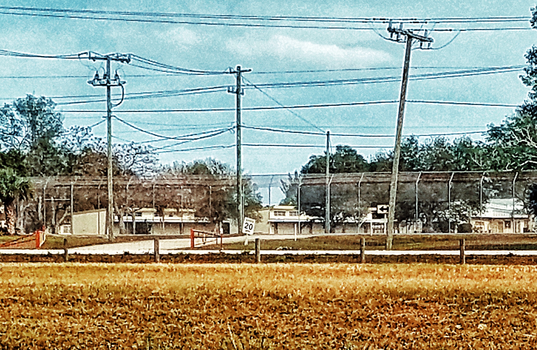 GALLERY Okeechobee School for Boys 2018 Finding Florida