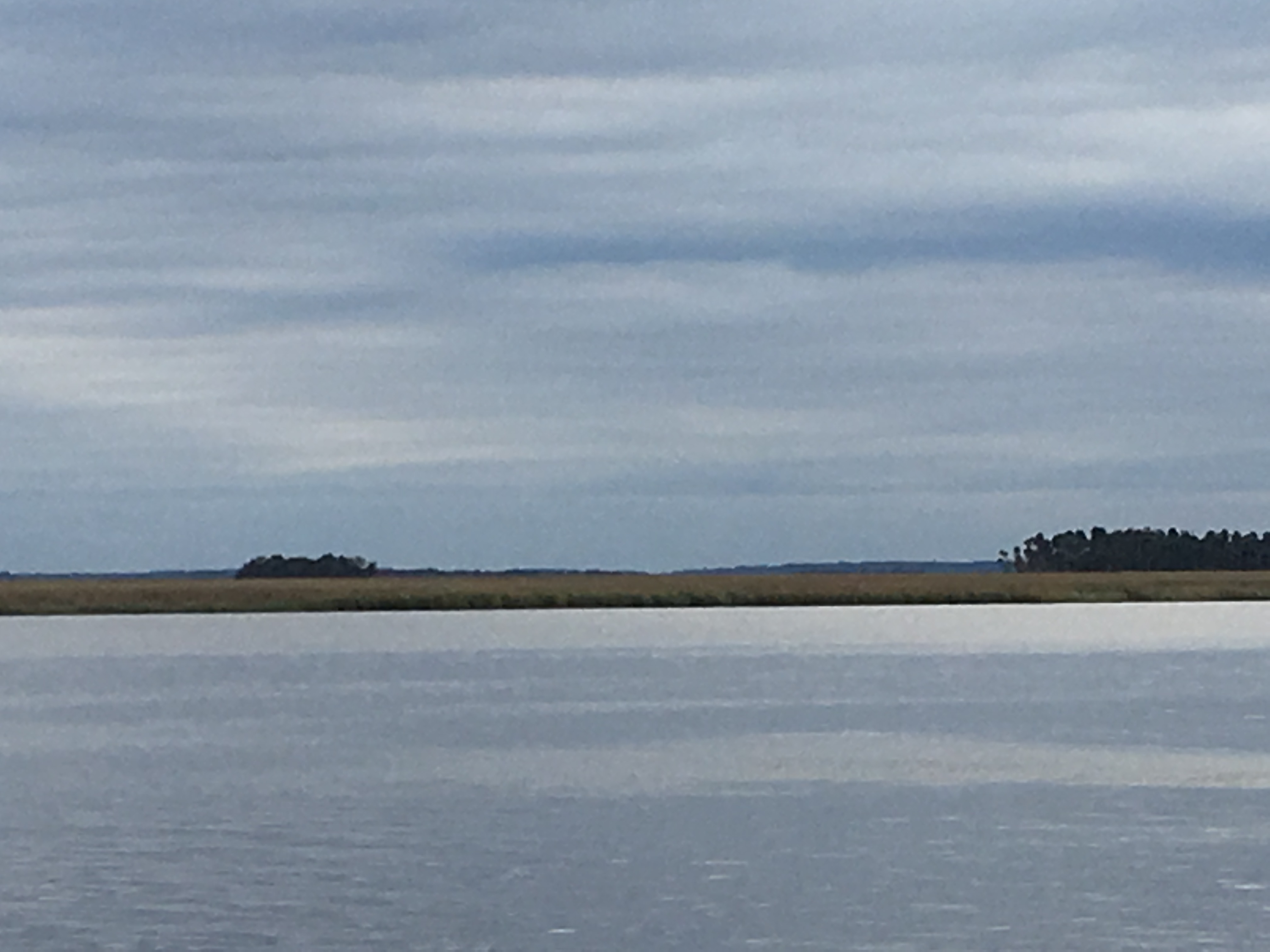 The quietest place in the world Jenny Ruth Yasi