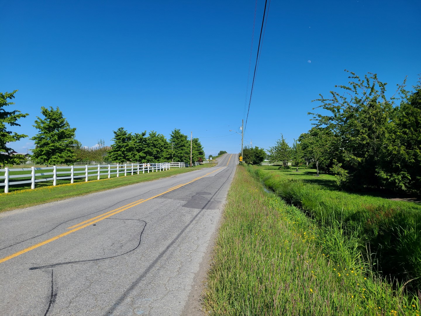 BeginnerFriendly Tsawwassen & Ladner Bike Trails (Pictures Included