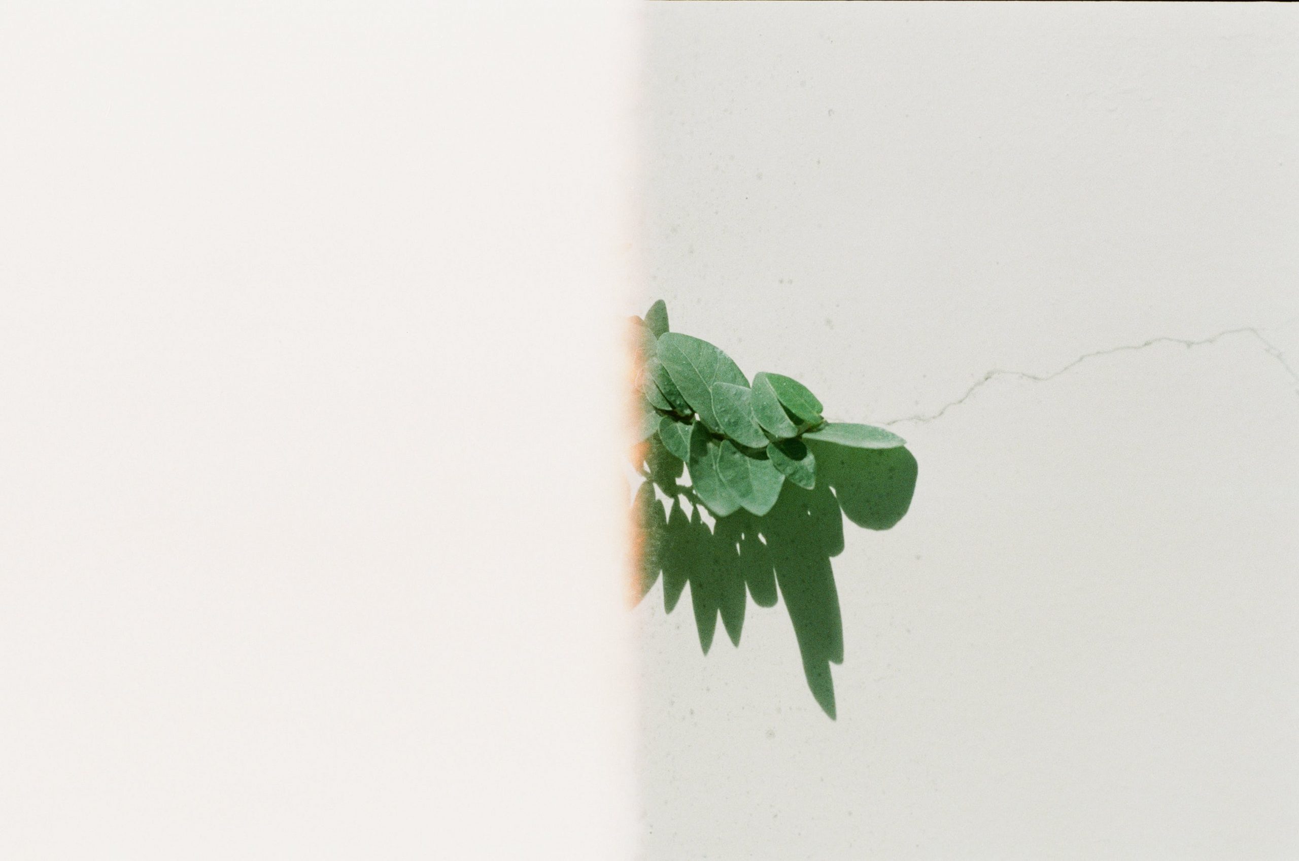 WARN Act Requirements Jeremy Eveland