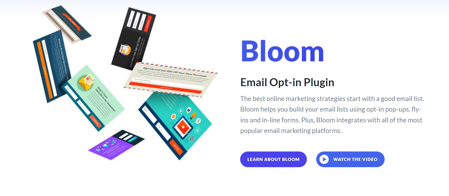 Divi Theme Review Is it Worth The Money in 2024?