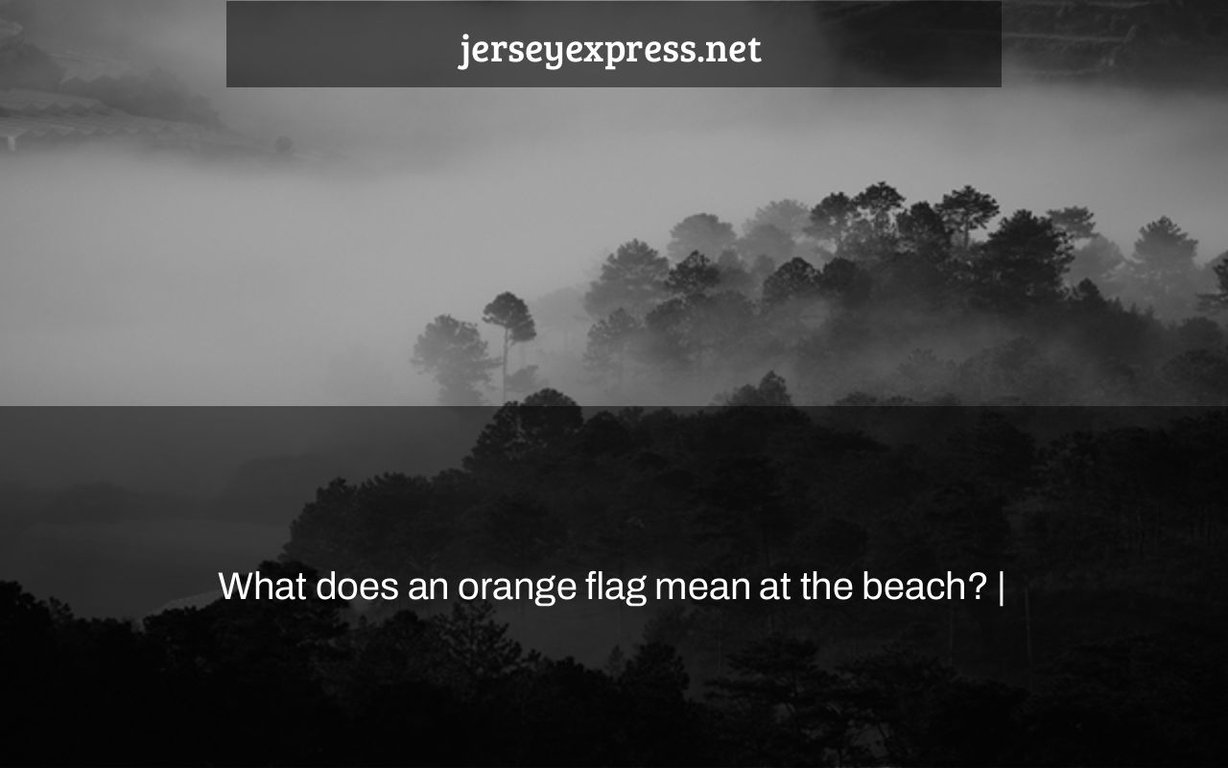 What does an orange flag mean at the beach? Jersey Express