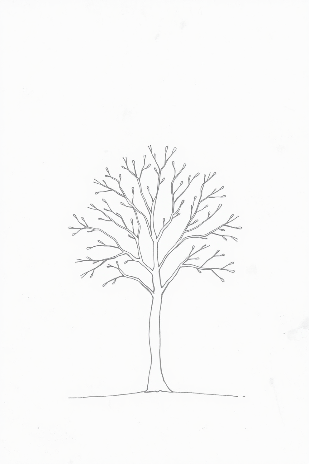 12+ Tree Drawing Ideas Various Styles & Skill Levels
