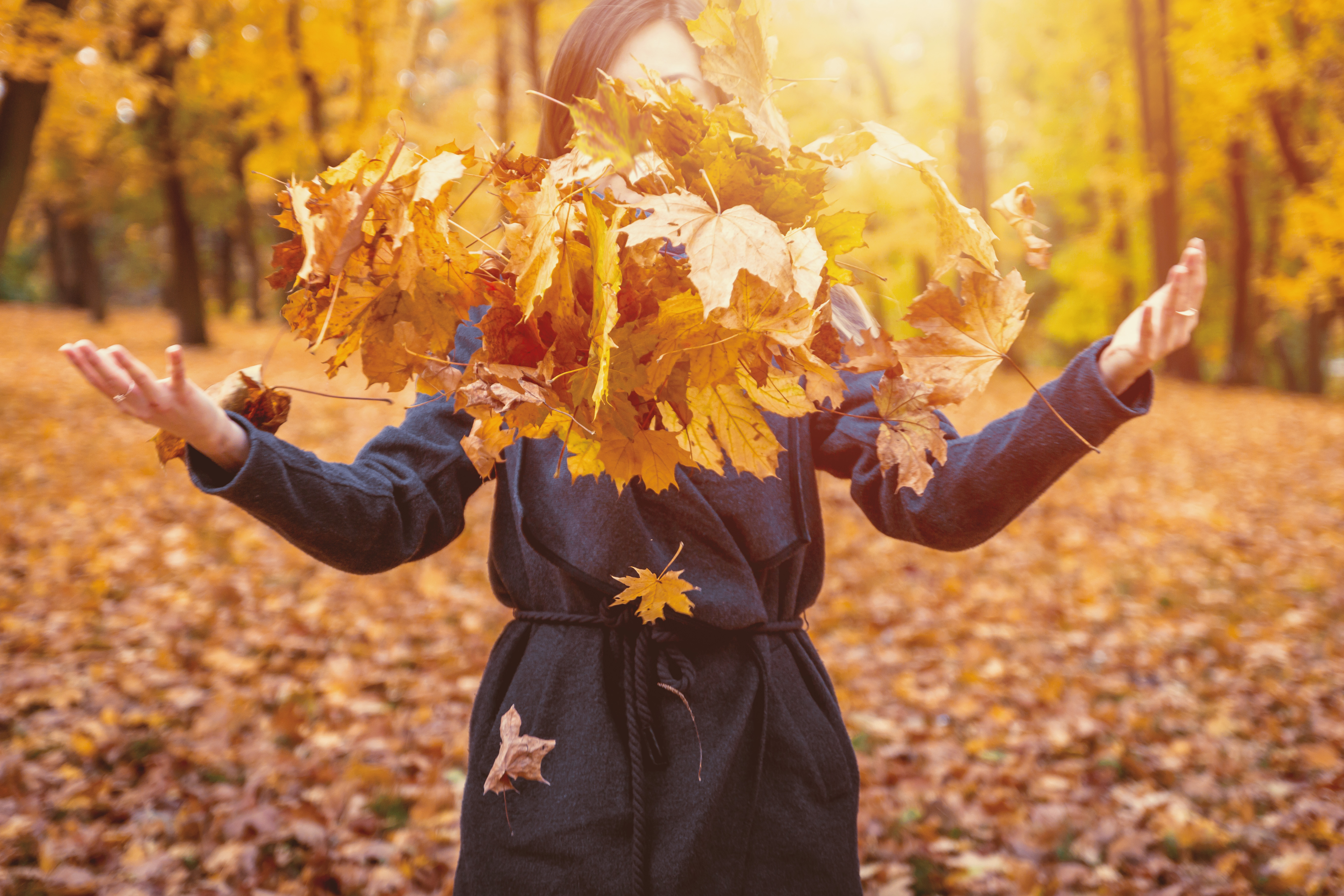 Woman Throwing Autumn Leaves Into The Air · Free Stock Photos