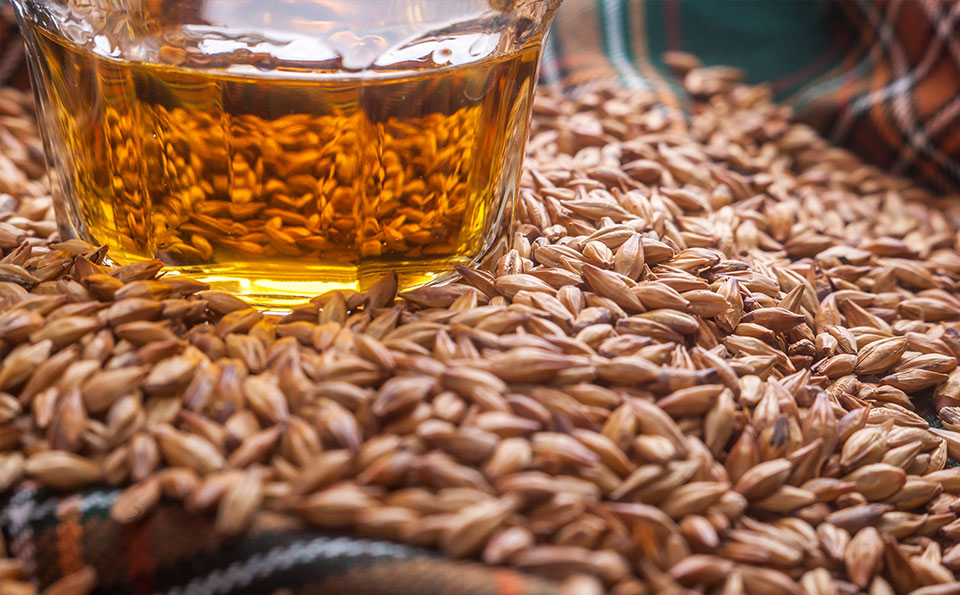 Tierfutter und Getreide Hochwertige Wäge und Dosierlösungen sowohl