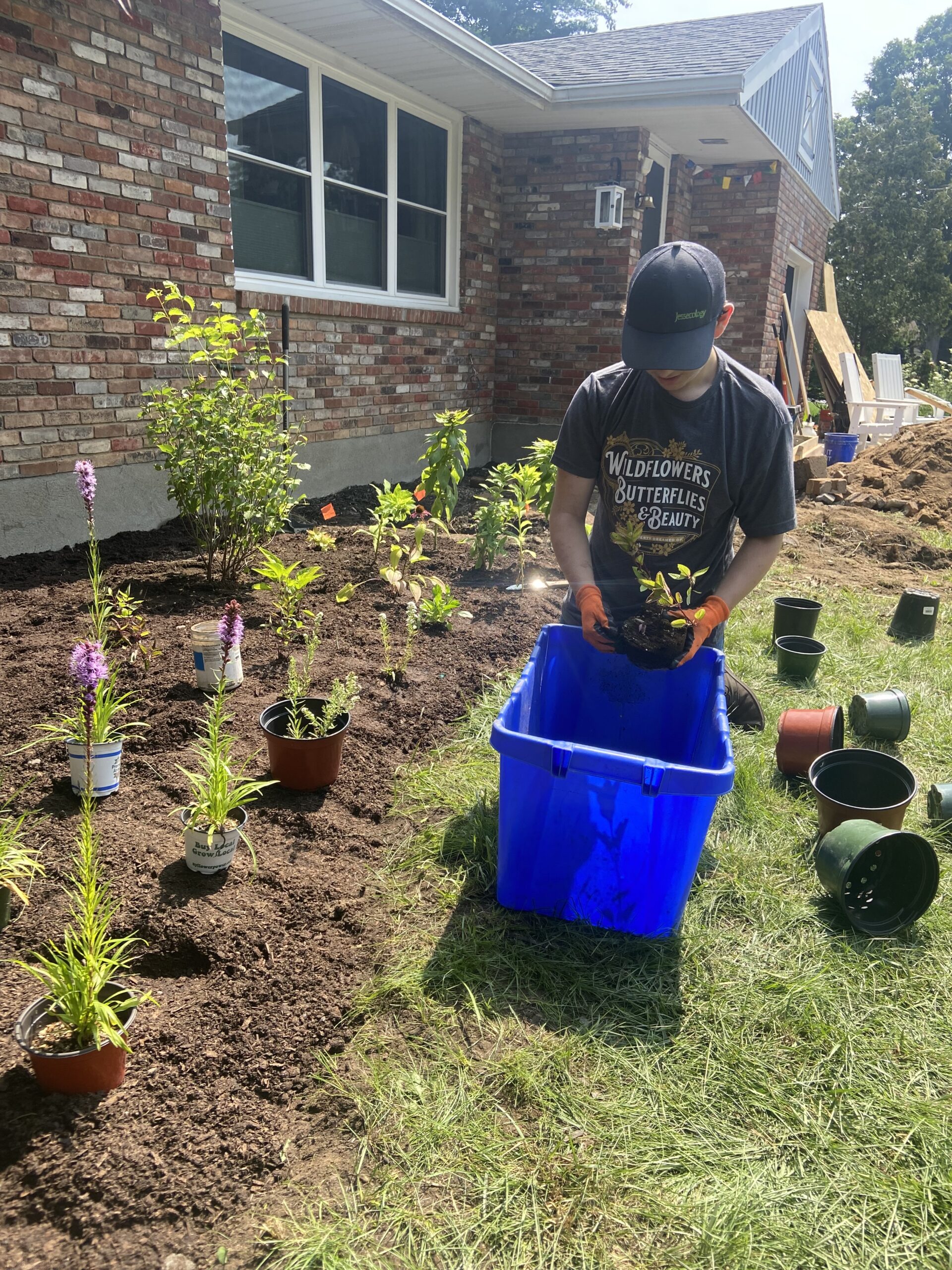 Fall Garden Plants Jessecology