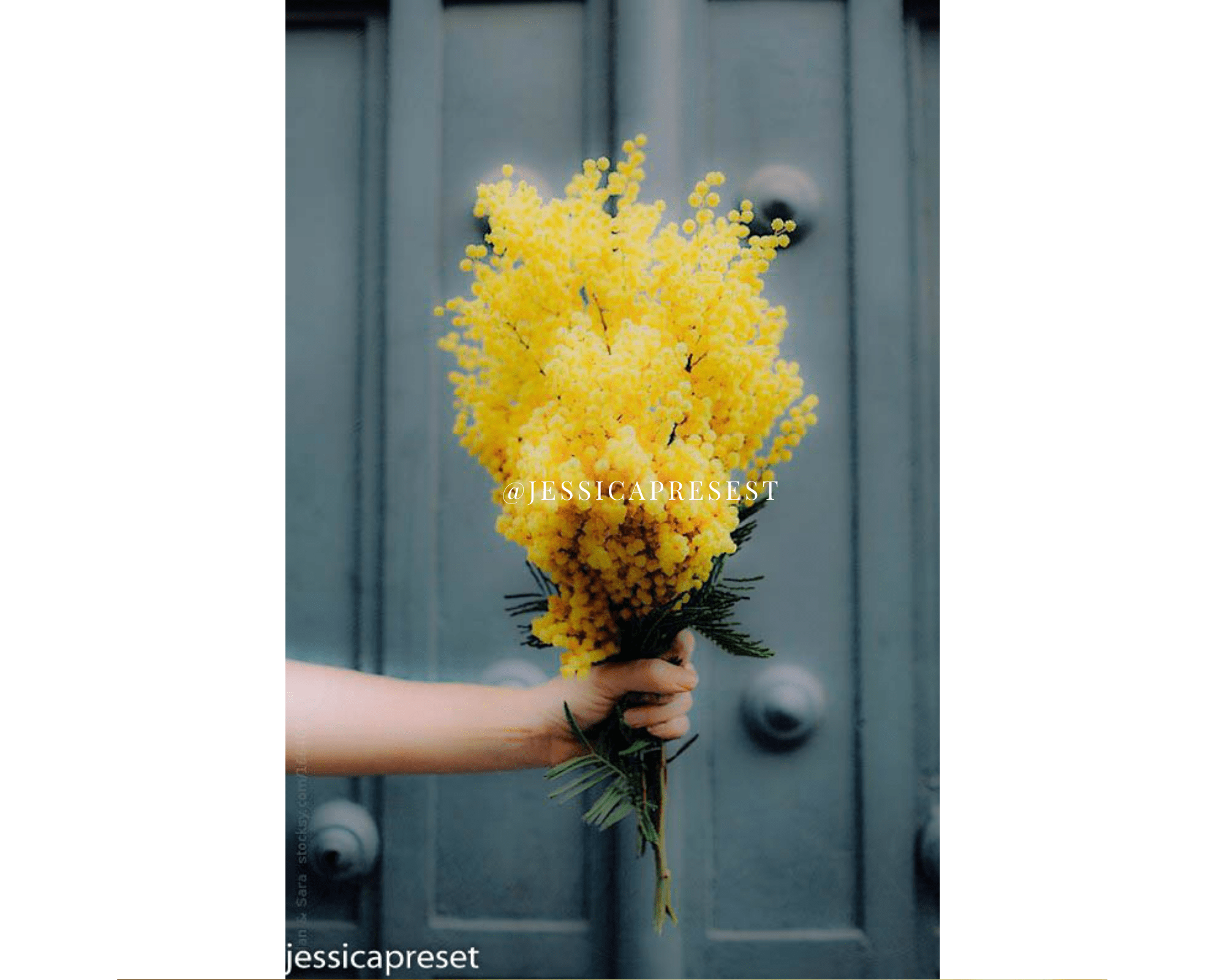 Yellow Lightroom Preset Jessica Presets