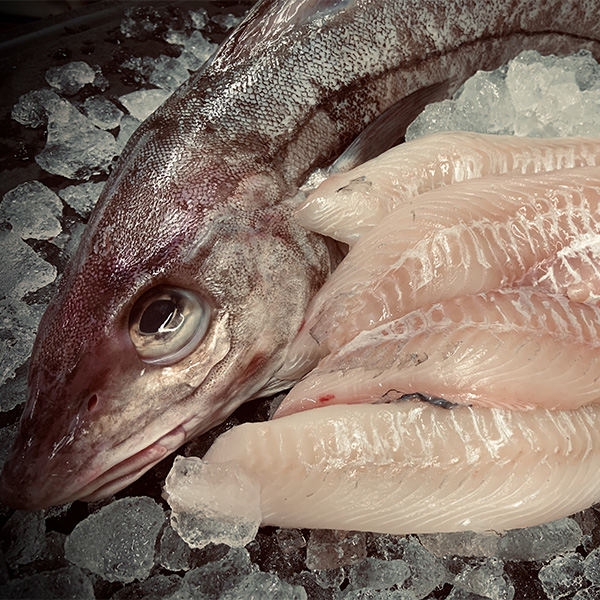 Haddock Jess's Market