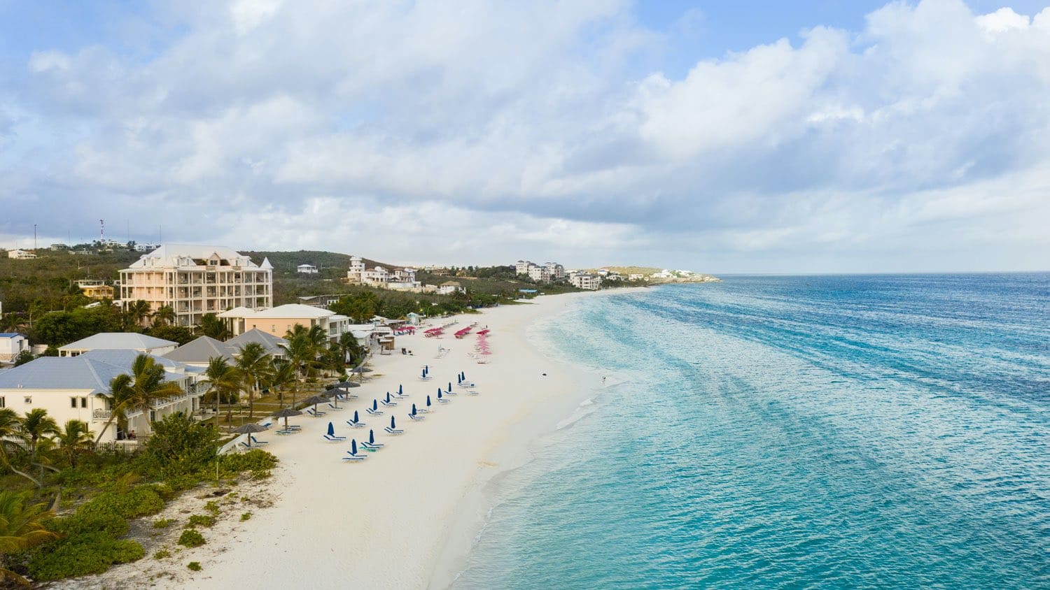 Bold Affordable Anguilla Jesson + Company