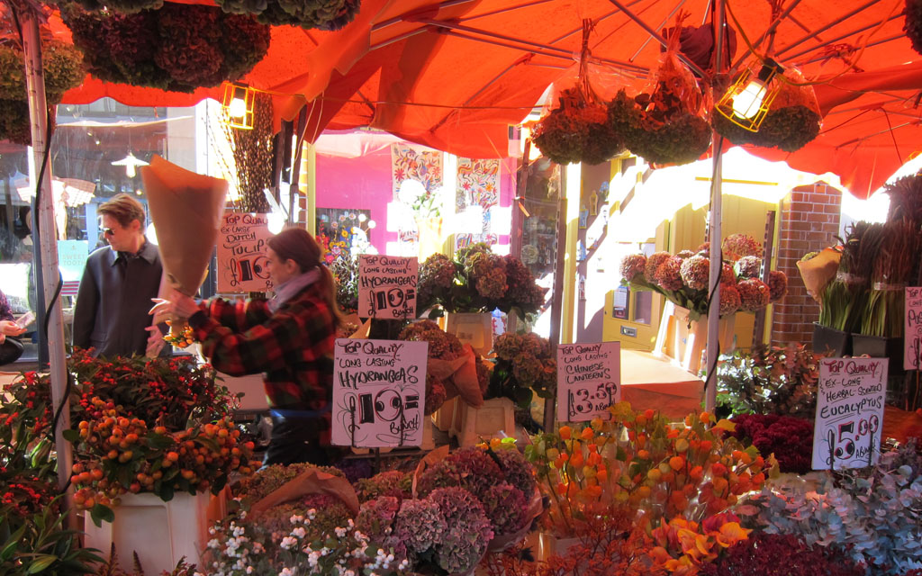 Flower Market Northern Ireland Best Flower Site