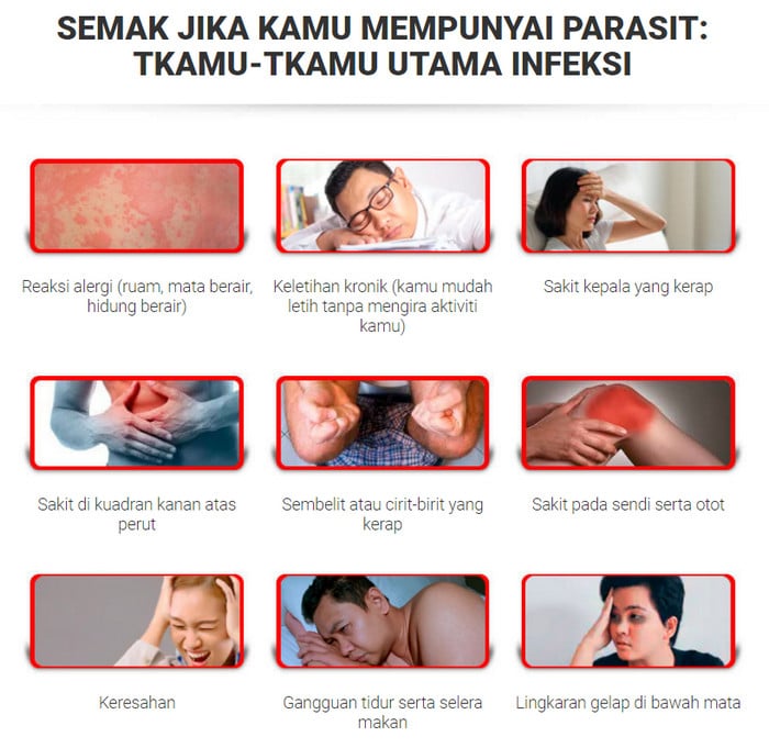 Pro Herbarium Singapore, harga, cara penggunaan, testimoni pengguna