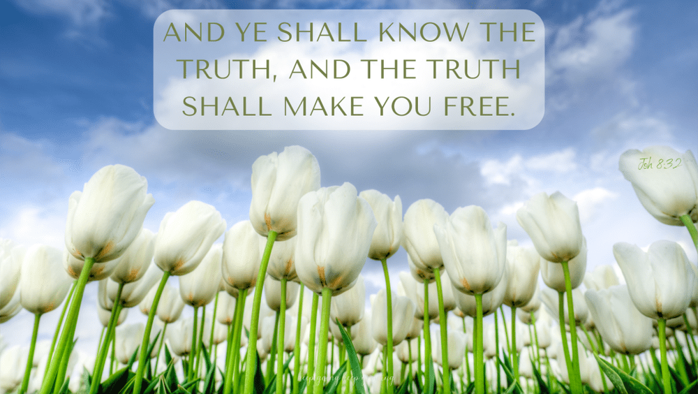 What is True Freedom? Jesus the Righteous Path