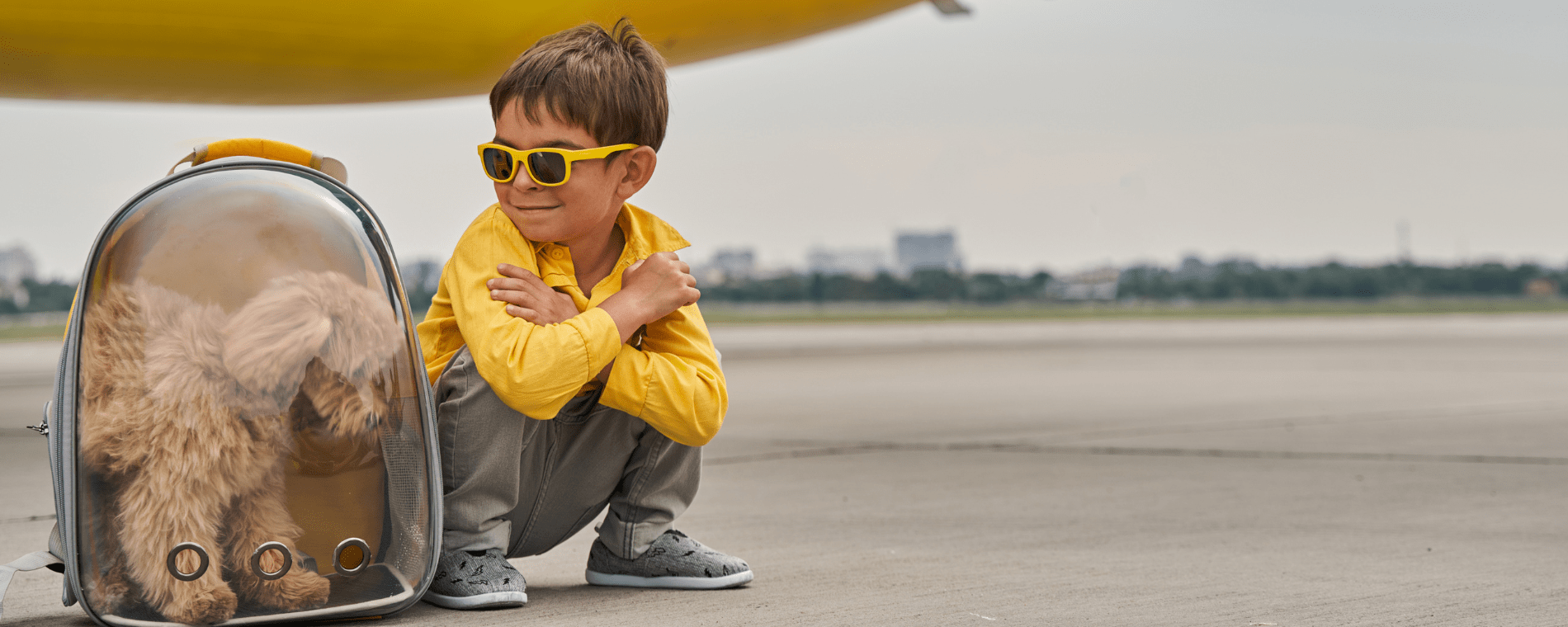 Flying with Pets on Private Jet in 2023 jetlogic Private Jets