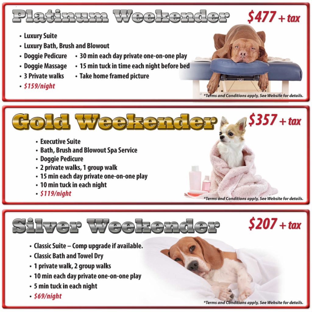 Luxury Dog Boarding ️ Go Away This Weekend WorryFree! Jet Pet Resort