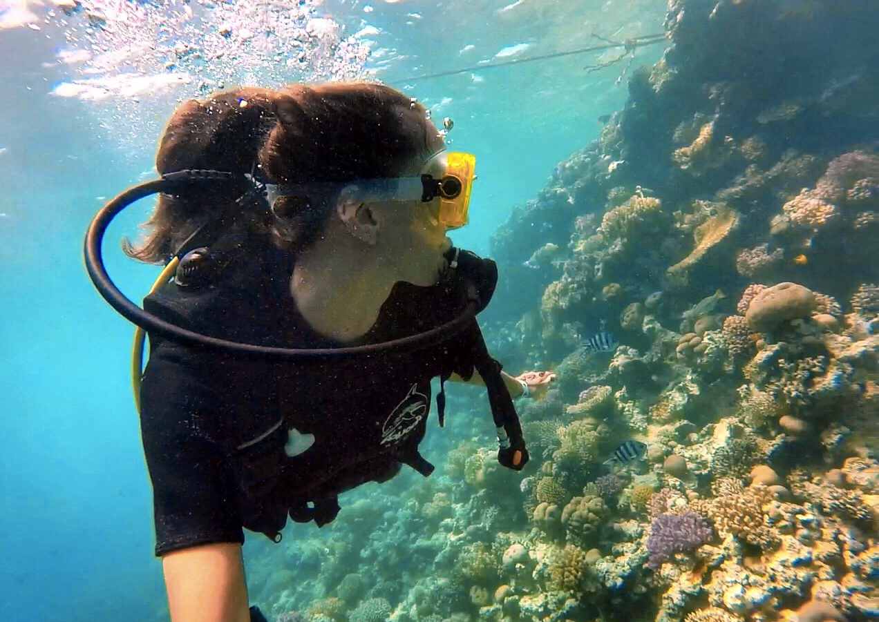 Incredible Diving in the Red Sea of Egypt • Jetset Jansen