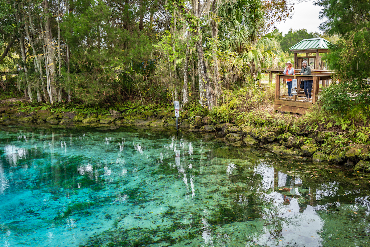How to Visit Three Sisters Springs Crystal River, Florida