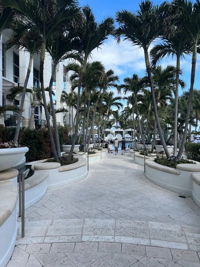 Best Pet Friendly Hotels Loews Miami Beach Miami Beach, FL