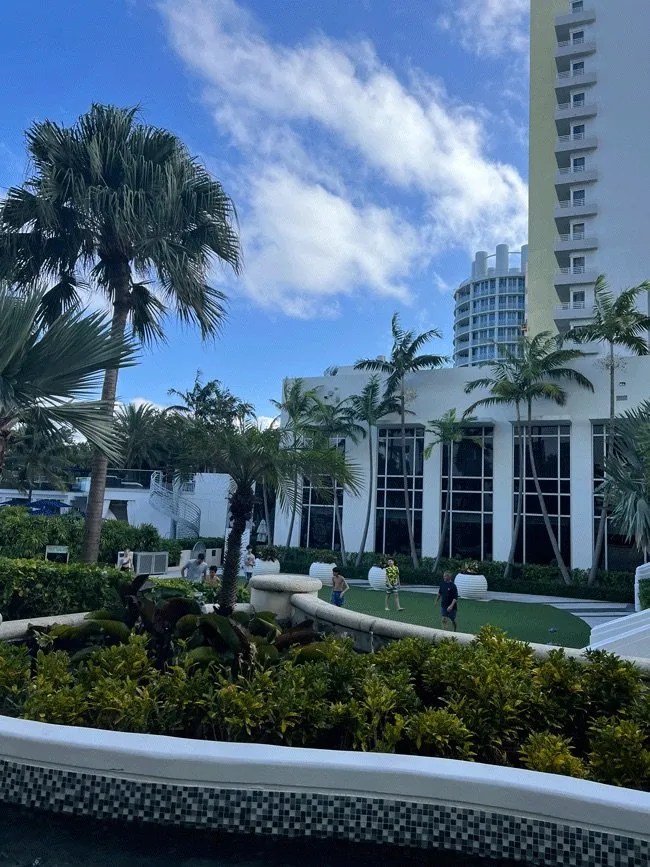 Are Loews Hotels Pet Friendly? Loews Hotels Pet Policy (2024)