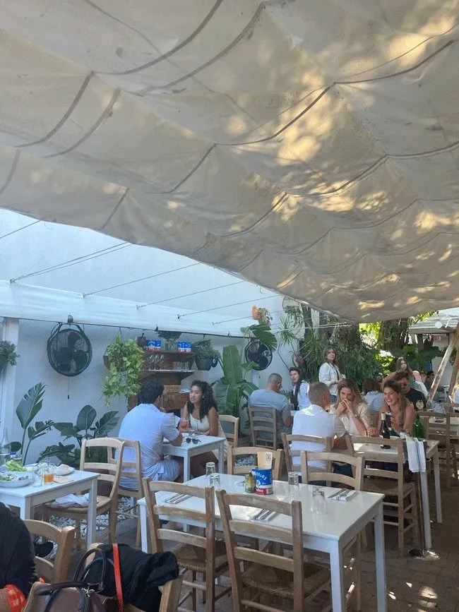 Mandolin Aegean Bistro Miami, FL Dog Friendly Restaurant