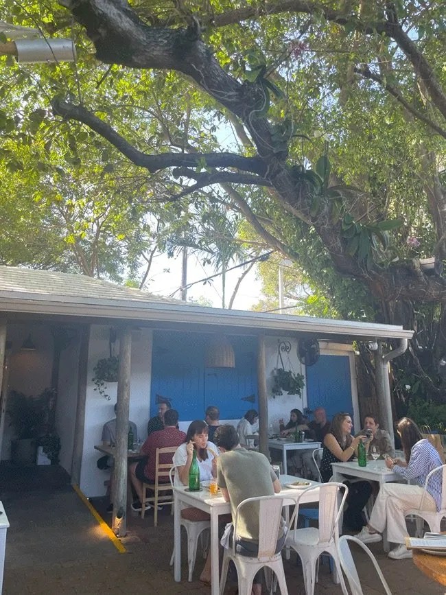 Mandolin Aegean Bistro Miami, FL Dog Friendly Restaurant