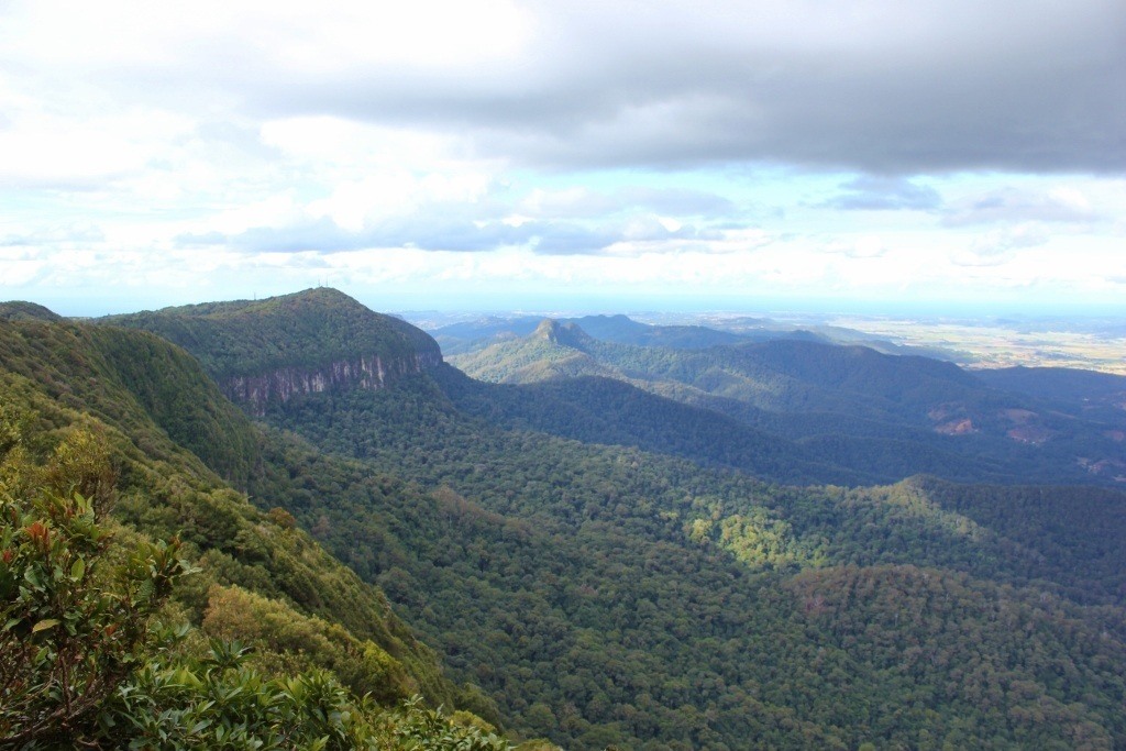Springbrook National Park Walks 3 Easy Gold Coast Hikes Jetsetting Fools