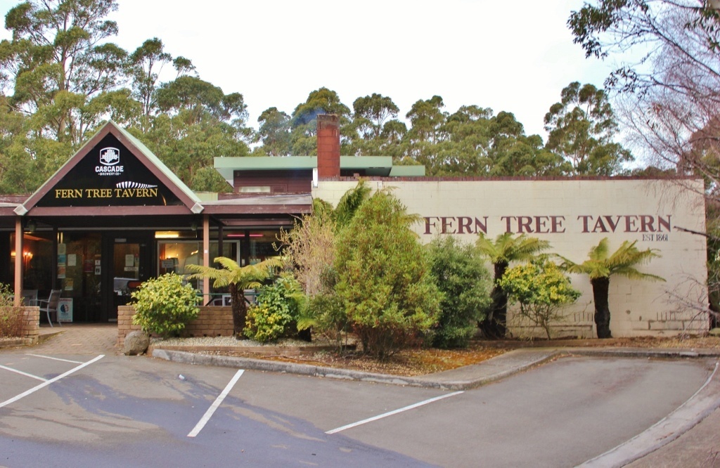 Hiking down Mount Wellington in Hobart Jetsetting Fools