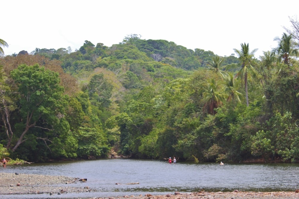 6 Things to Do in Pavones, Costa Rica Jetsetting Fools