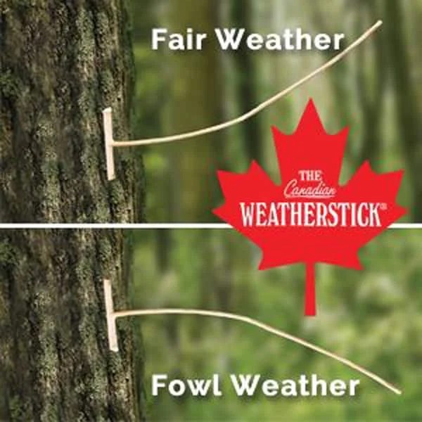 Canadian Weatherstick Jetzam